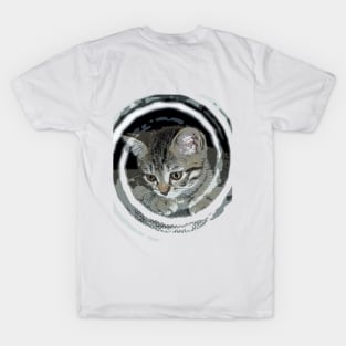 Cute baby cat T-Shirt